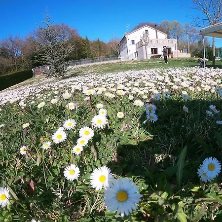 Bed & Breakfast Da Giovanna Senigallia